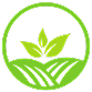 Urban Crops